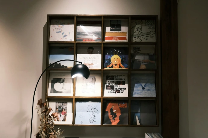 Wooden shelf filled with vinyl records and a lamp